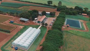 Nuevas herramientas para los productores.