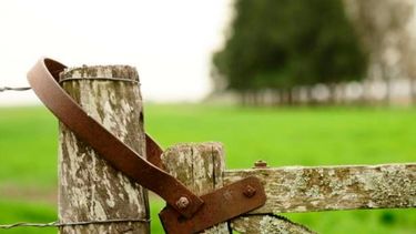 La actividad inmobiliaria rural tuvo una leve mejora este año