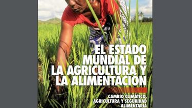 La FAO vuelve a alzar la voz sobre los peligros del cambio climático
