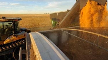 CARBAP repudió la violencia surgida en el reclamo de transportistas de granos