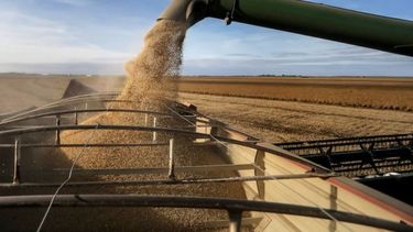 El campo aportó al país unos 32.800 millones de dólares en 2021