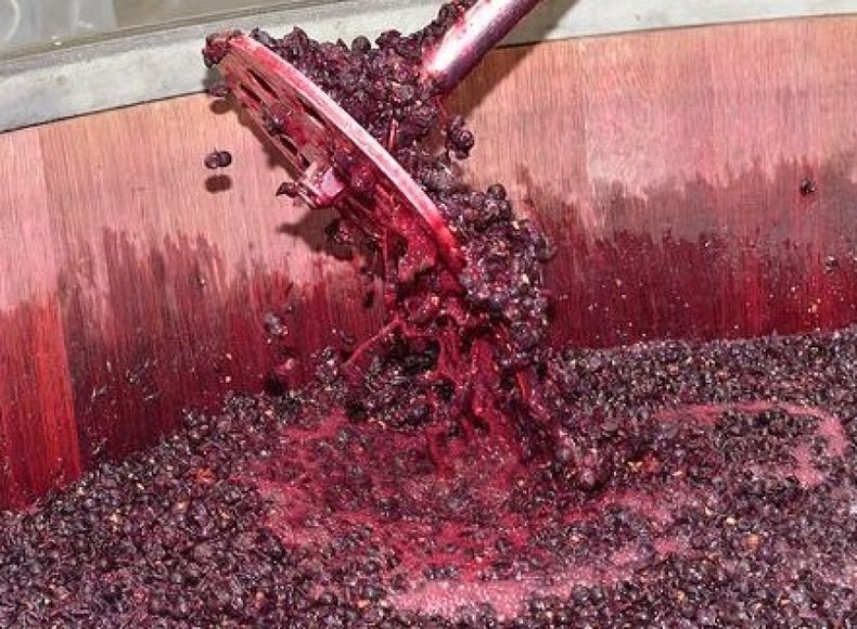Mendoza y San Juan no firmarán este año el acuerdo del mosto