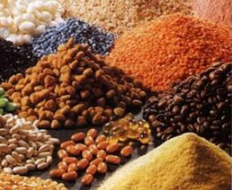 Para el BM, América Latina debe reforzar la alimentación de madres y menores de dos años