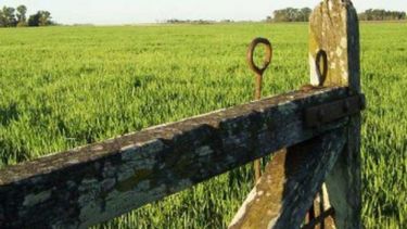 Anticipan una disparada de alquileres rurales si entran en Bienes Personales