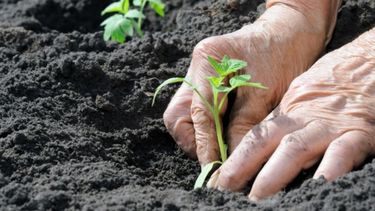 Argentina se convirtió en un referente mundial de buenas prácticas agrícolas