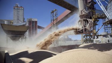 Reabrieron las exportaciones de harina y aceite de soja