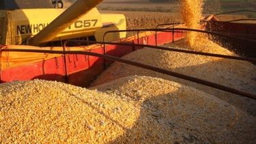 Productores sojeros alzan su voz en contra de un posible cambio de reglas