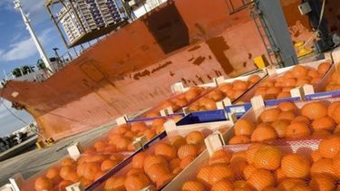 La UE tuvo un superávit comercial agroalimentario de 1.300 millones en noviembre