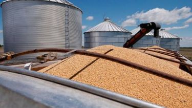 La molienda de soja aumentó un 10 por ciento entre abril y octubre