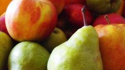 Ocho millones de kilos de peras y manzanas mendocinas van a la basura