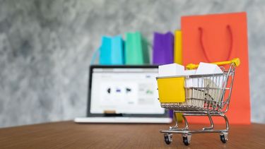 En 2023, las ventas online llegaron a 489 millones de productos.