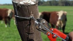 Piden aumentar la vigilancia para evitar delitos en campos