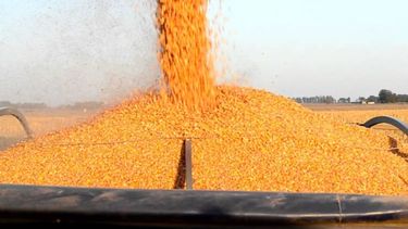 Ciara llamó a proteger la industrialización de la soja