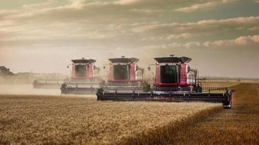 Estas son las 11 empresas que serán afectadas por la suba en las retenciones