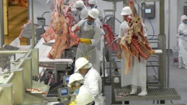 La faena de bovinos superó el millón de cabezas en marzo