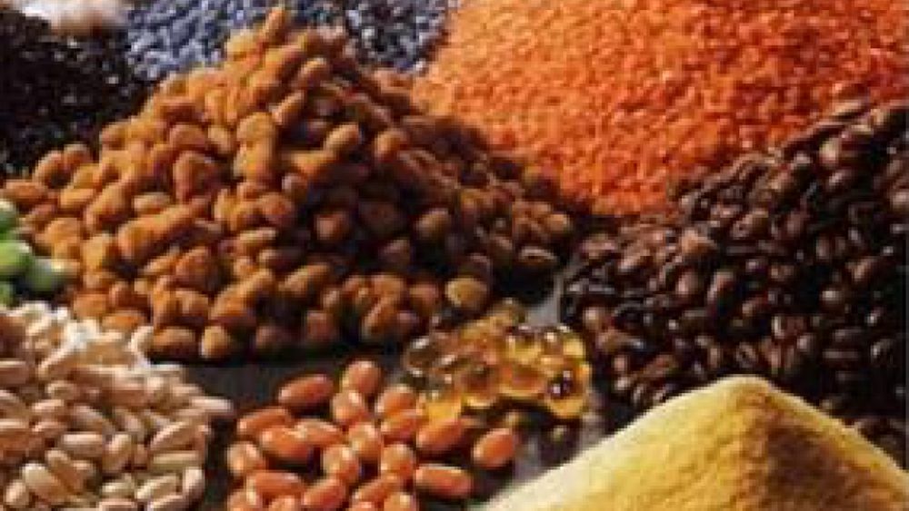 En 2015, podría reducirse a la mitad la cantidad de personas que pasan hambre