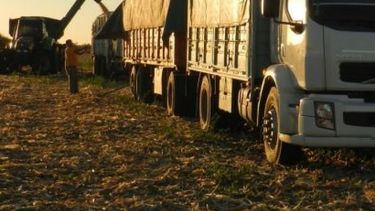 La tarifa de referencia para el transporte de granos sube un 18%