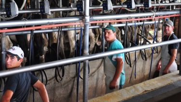 El proyecto que vino a revolucionar el tambo en medio de las crisis