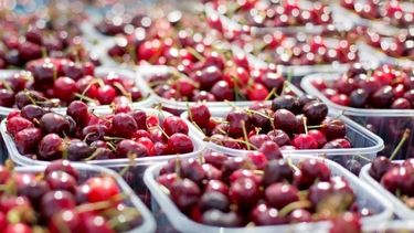 Buscan poner en marcha un programa para impulsar el consumo y la exportación de cerezas